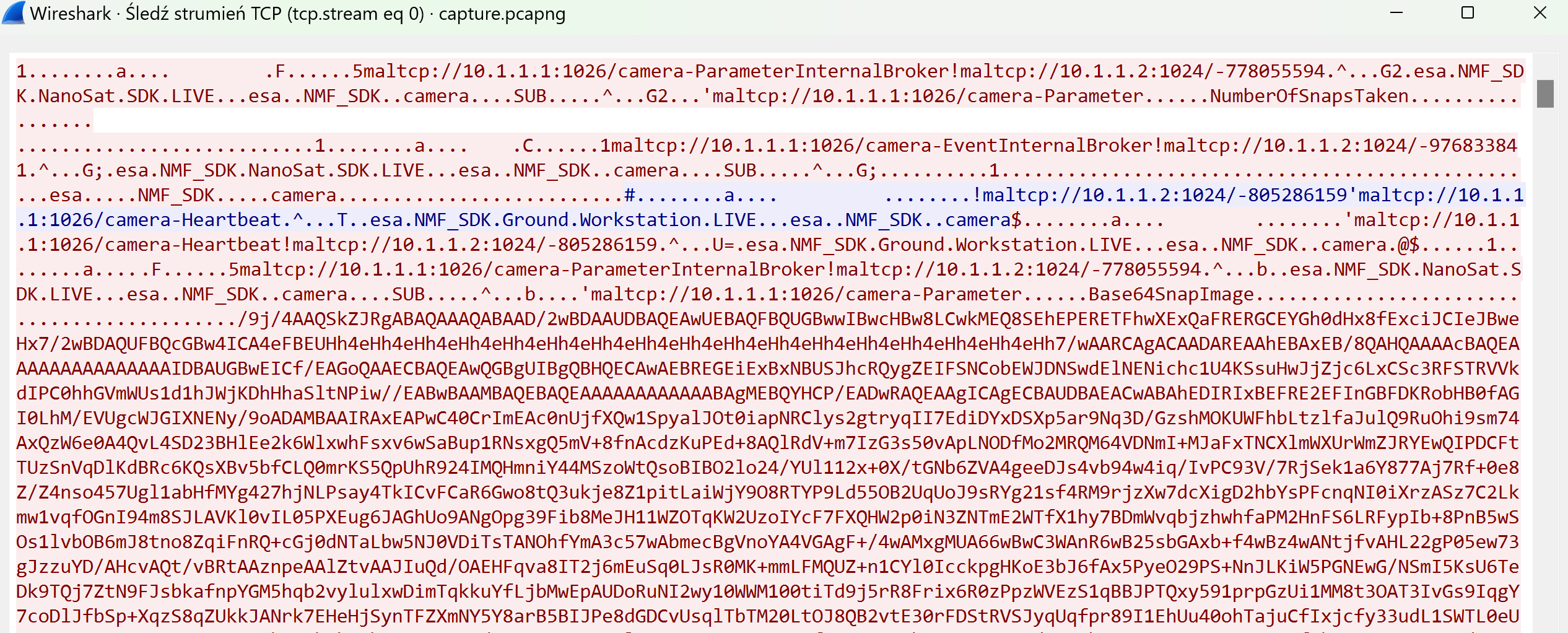 Wireshark
